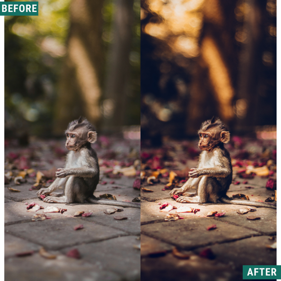 Warm Dusk LIMITED Lightroom Presets Pack