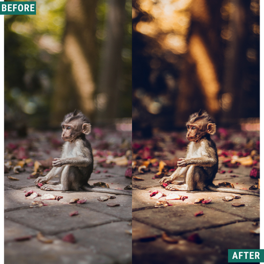 Warm Dusk LIMITED Lightroom Presets Pack