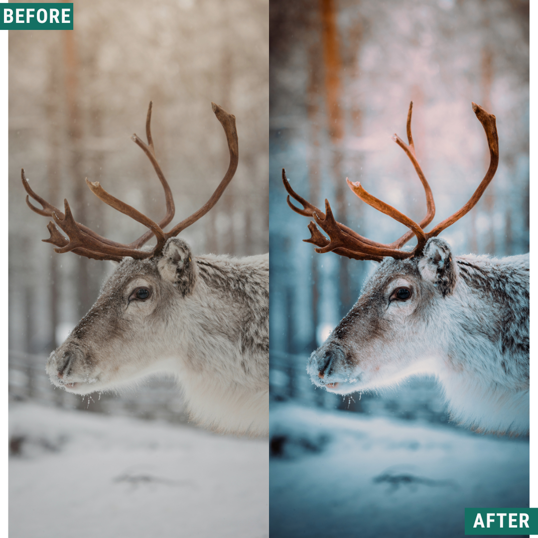 Night Cold LIMITED Lightroom Presets Pack