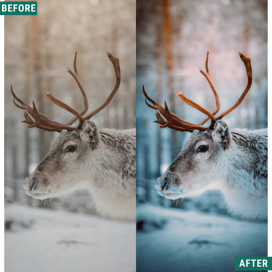 Night Cold LIMITED Lightroom Presets Pack