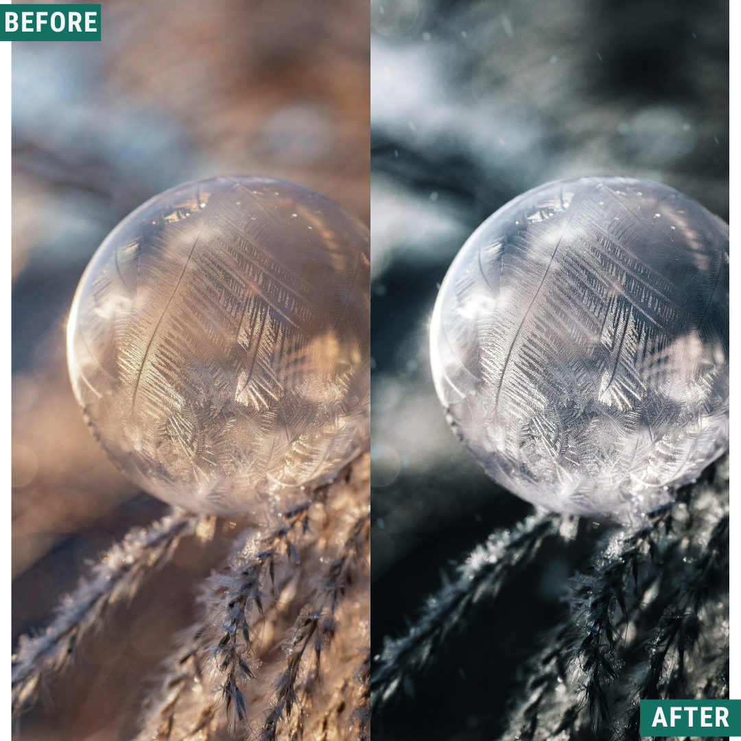 Winter AI Color Lightroom Toolkit