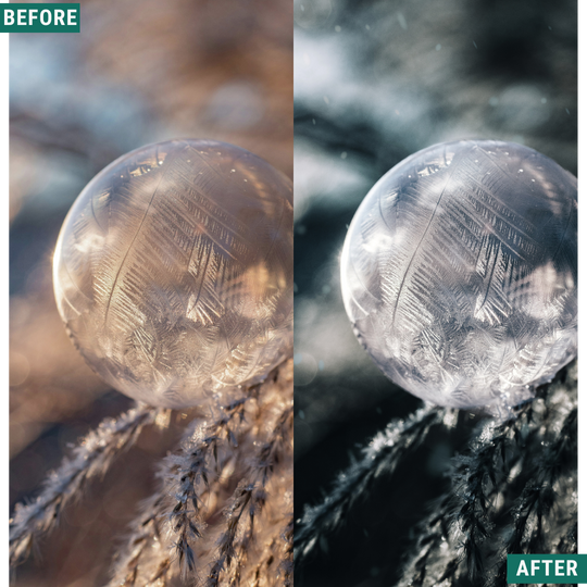 Winter AI Color Lightroom Toolkit