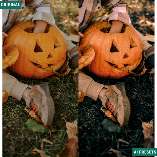Spooky AI Color Lightroom Toolkit