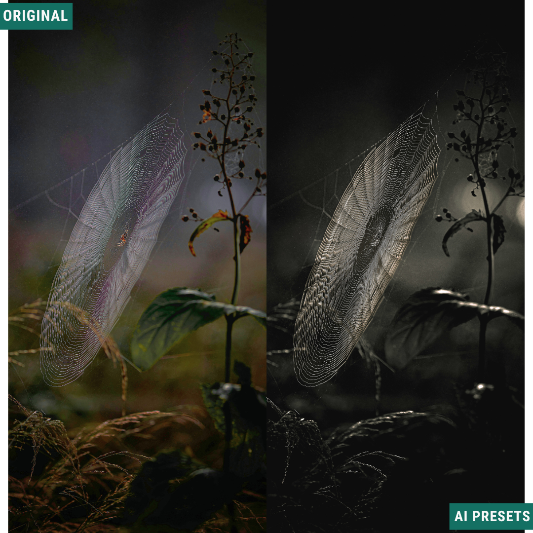 Spooky AI Color Lightroom Toolkit
