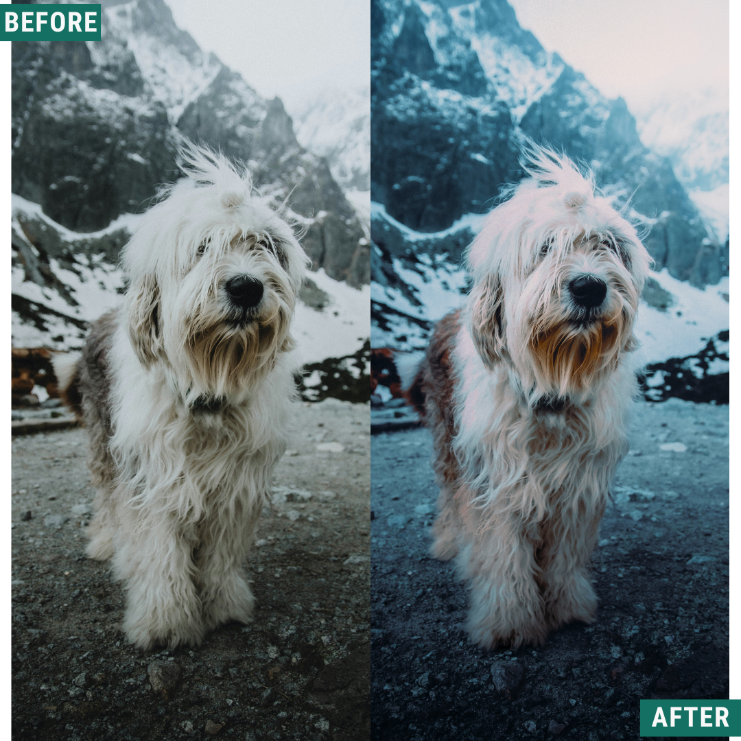 Night Cold LIMITED Lightroom Presets Pack