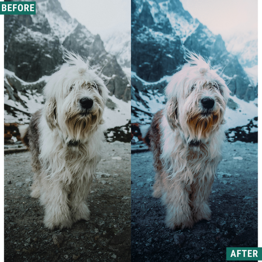 Night Cold LIMITED Lightroom Presets Pack