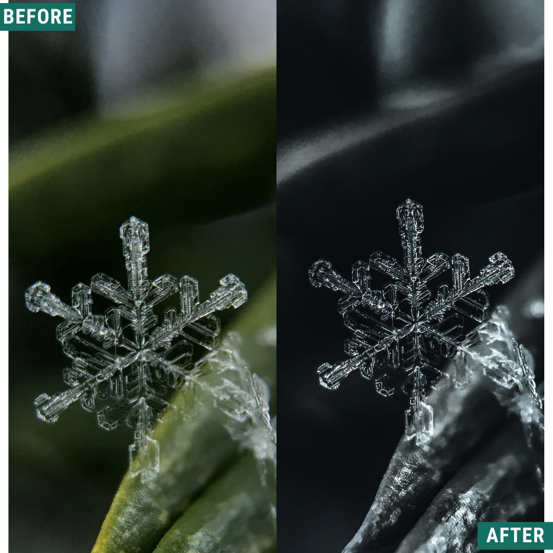 Winter AI Color Lightroom Toolkit