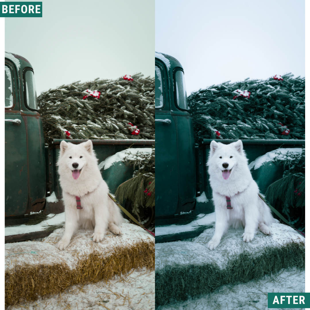 Winter AI Color Lightroom Toolkit