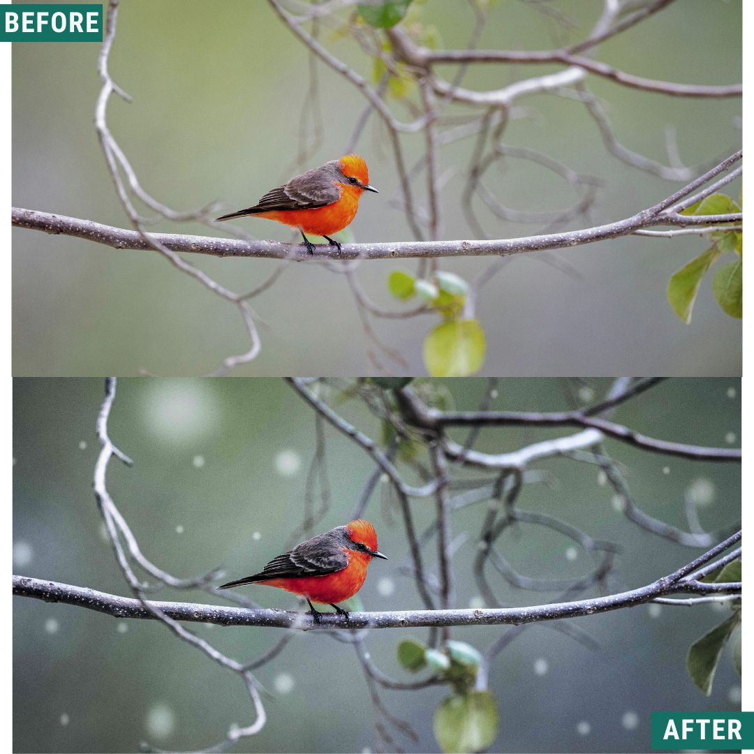 Winter AI Color Lightroom Toolkit