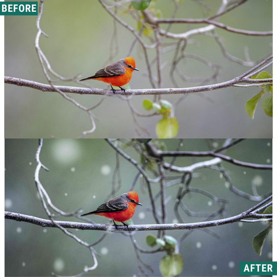 Winter AI Color Lightroom Toolkit
