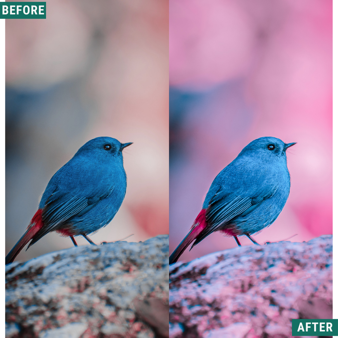 Cherry Blues LIMITED Lightroom Presets Pack