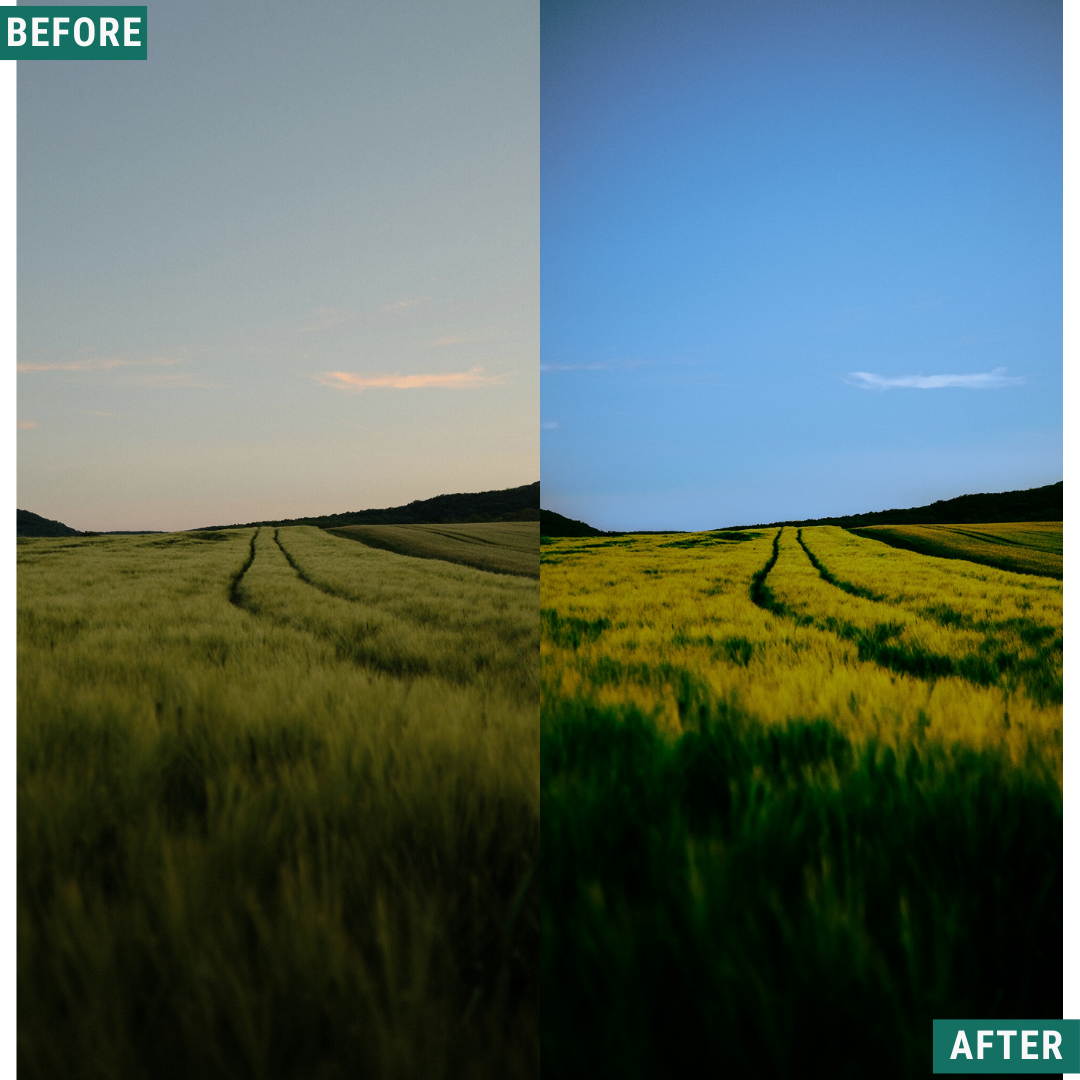 Mossy Trail LIMITED Lightroom Presets Pack