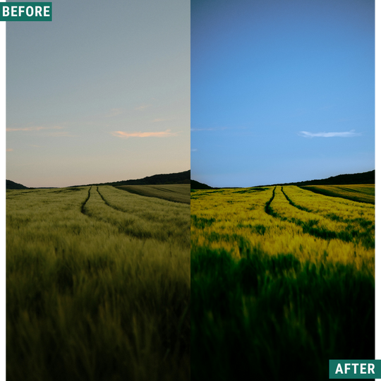 Mossy Trail LIMITED Lightroom Presets Pack