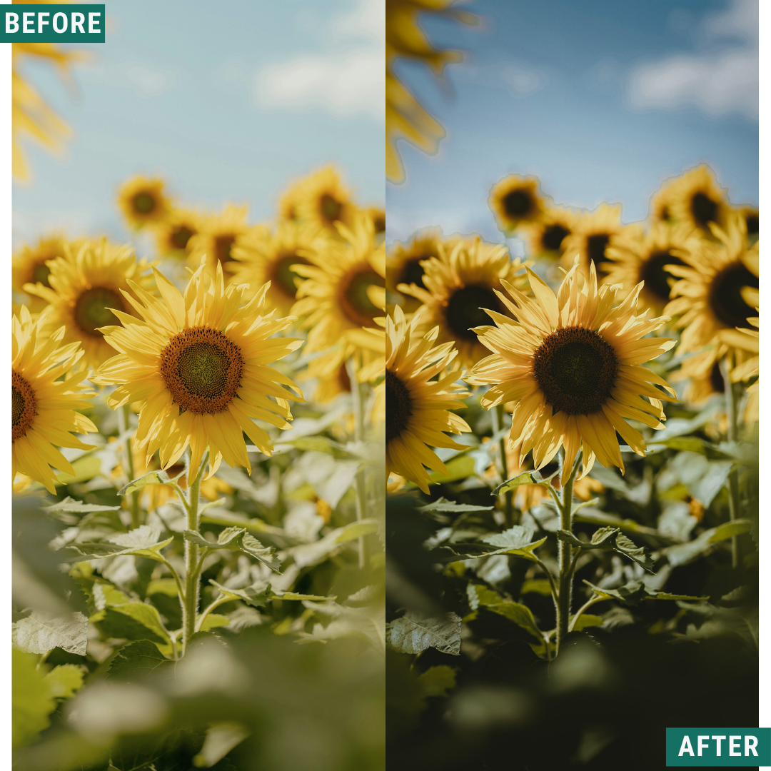 Vintage Valley LIMITED Lightroom Presets Pack