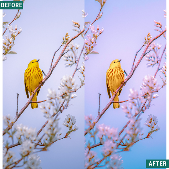 Cherry Blues LIMITED Lightroom Presets Pack