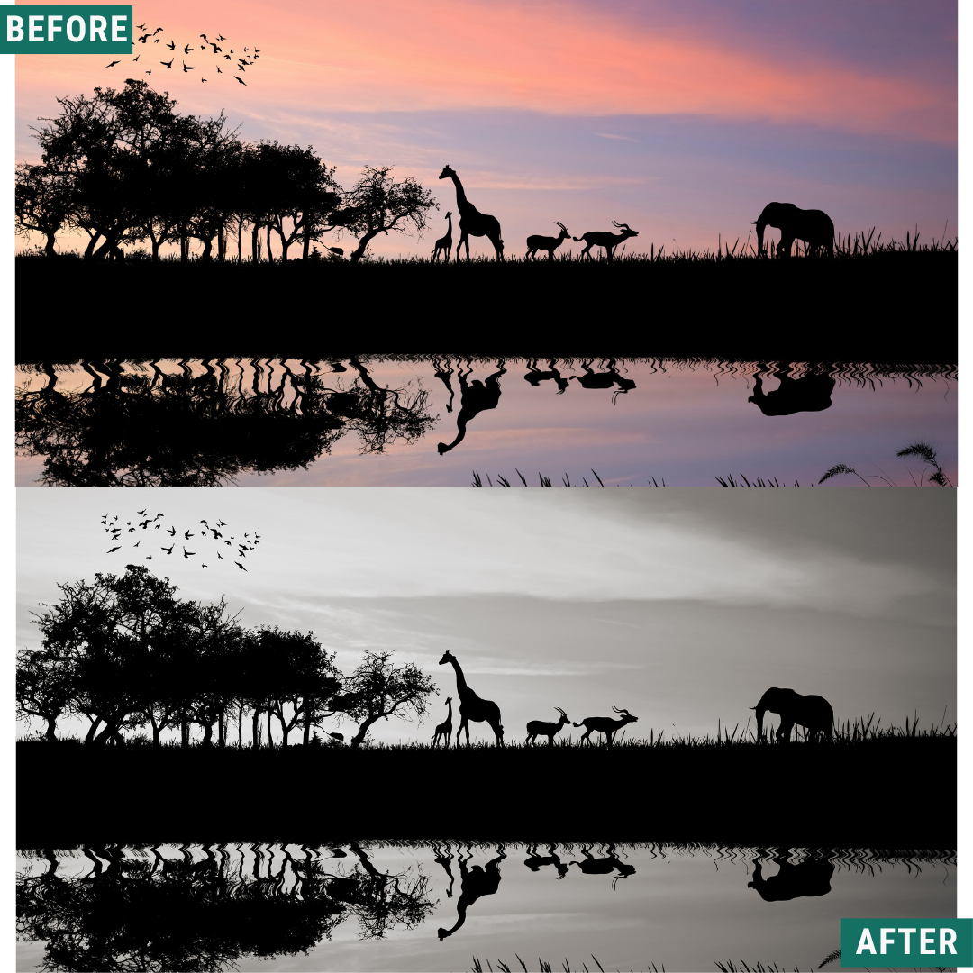 Mono Wild LIMITED Lightroom Presets Pack