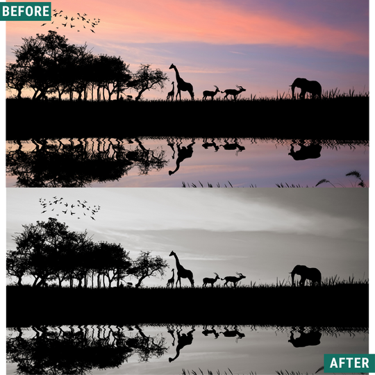 Mono Wild LIMITED Lightroom Presets Pack