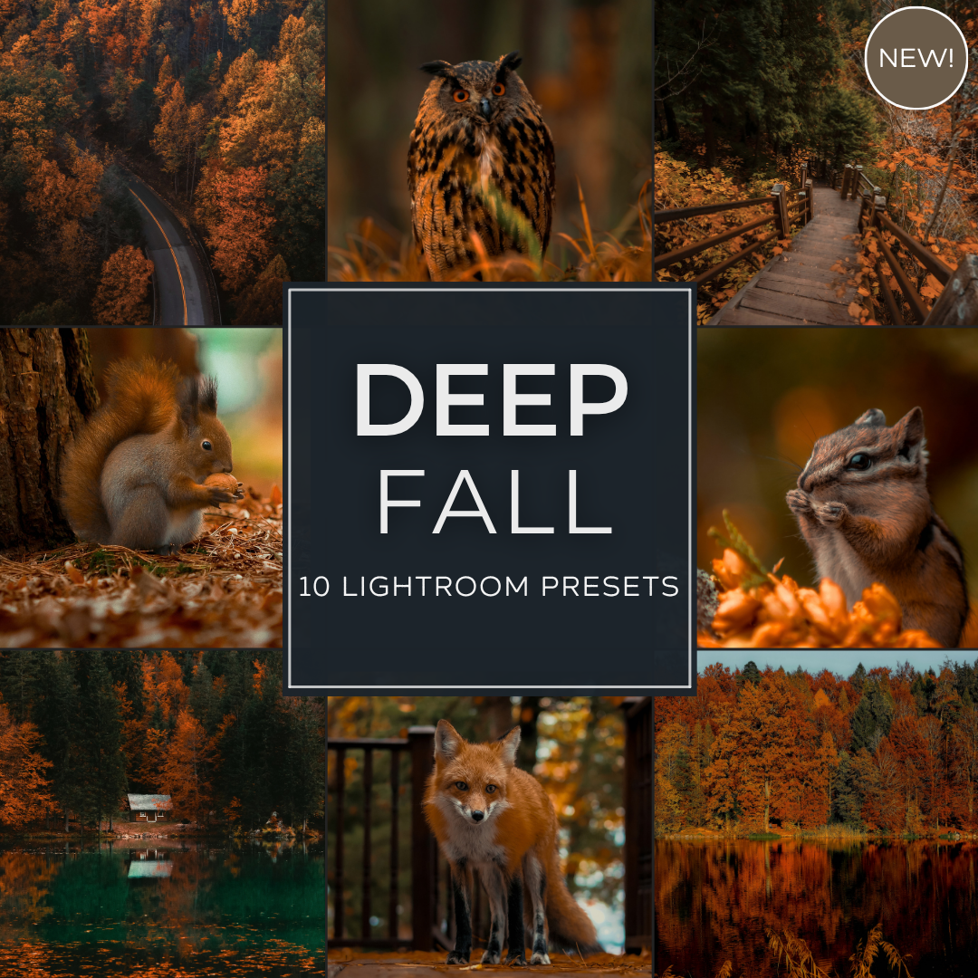 Rose Hour LIMITIERTES Lightroom-Presets-Paket