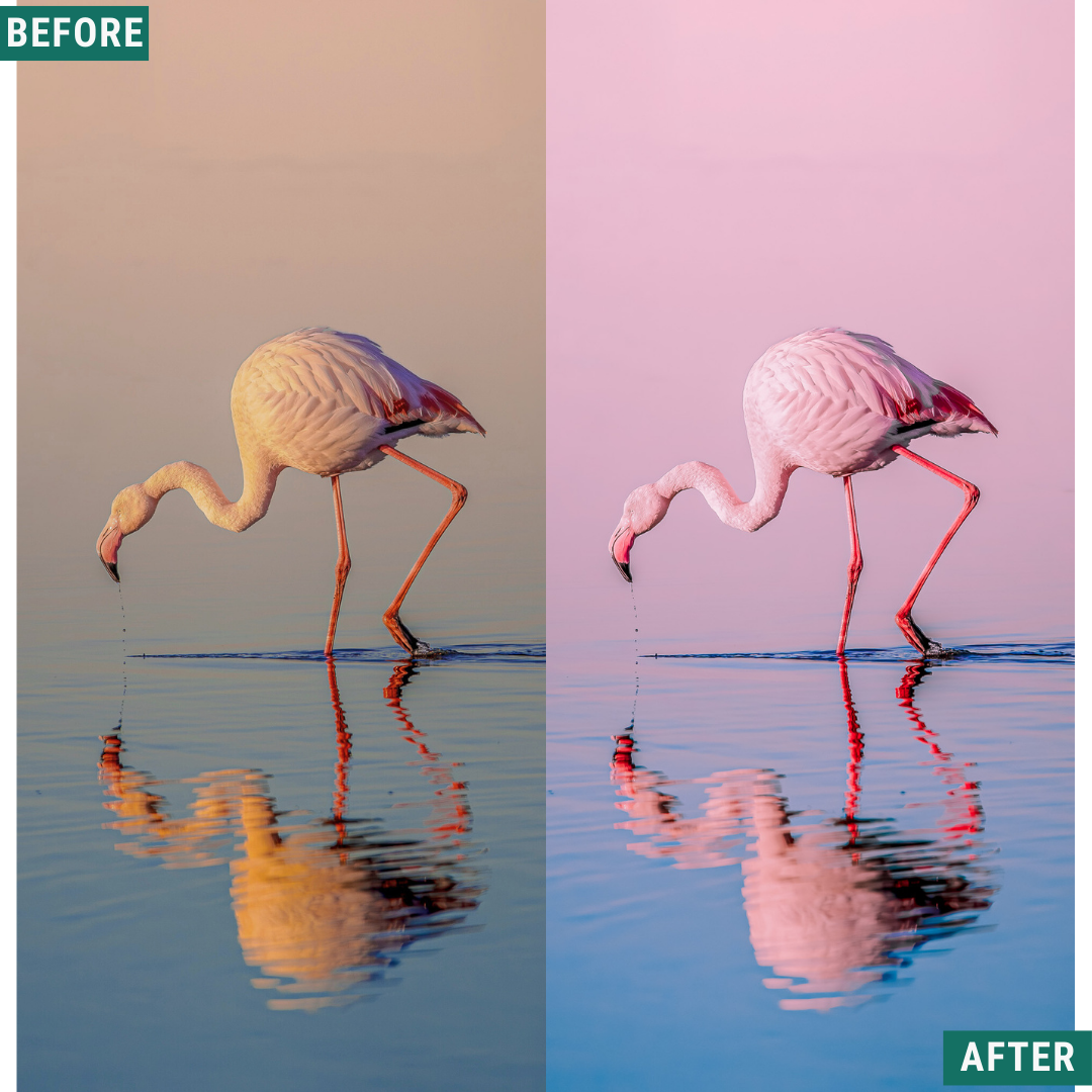 Cherry Blues LIMITED Lightroom Presets Pack