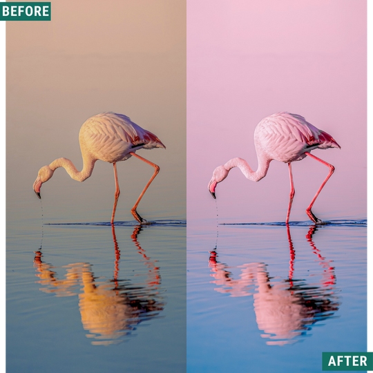 Cherry Blues LIMITED Lightroom Presets Pack