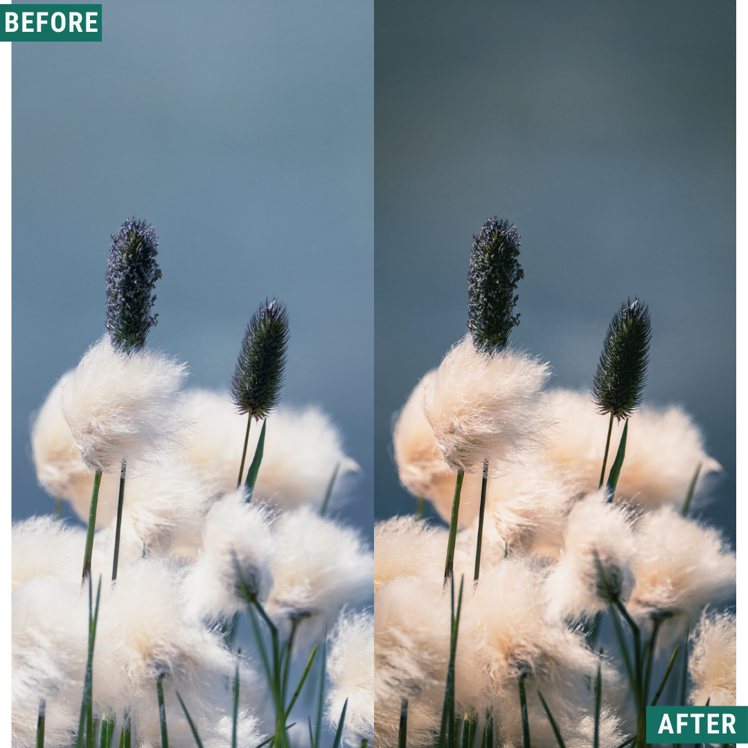 Vintage Valley LIMITED Lightroom Presets Pack