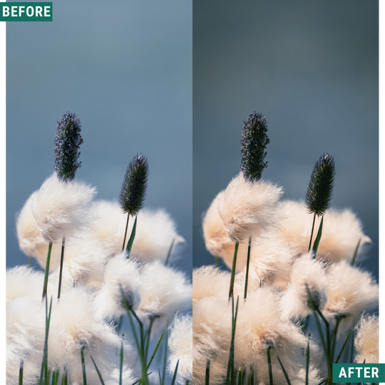 Vintage Valley LIMITED Lightroom Presets Pack