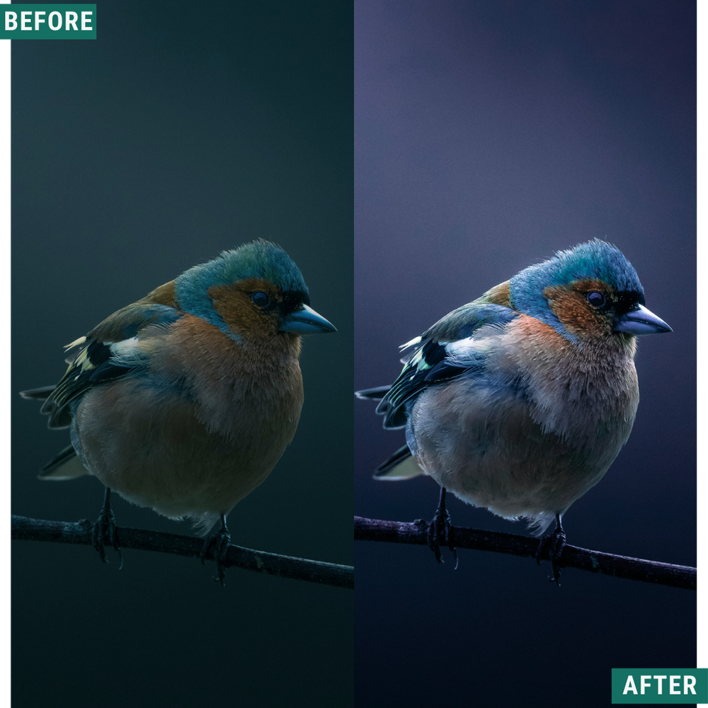 Deep Skies LIMITED Lightroom Presets Pack