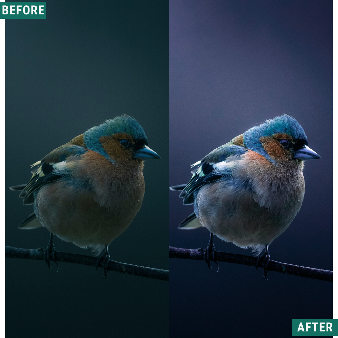 Deep Skies LIMITED Lightroom Presets Pack