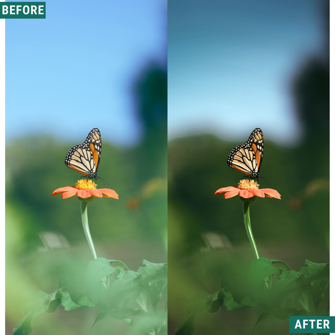 Vintage Valley LIMITED Lightroom Presets Pack