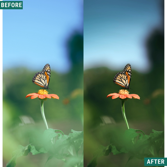 Vintage Valley LIMITED Lightroom Presets Pack