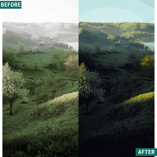 Wild Green Lightroom-Voreinstellungen-Paket