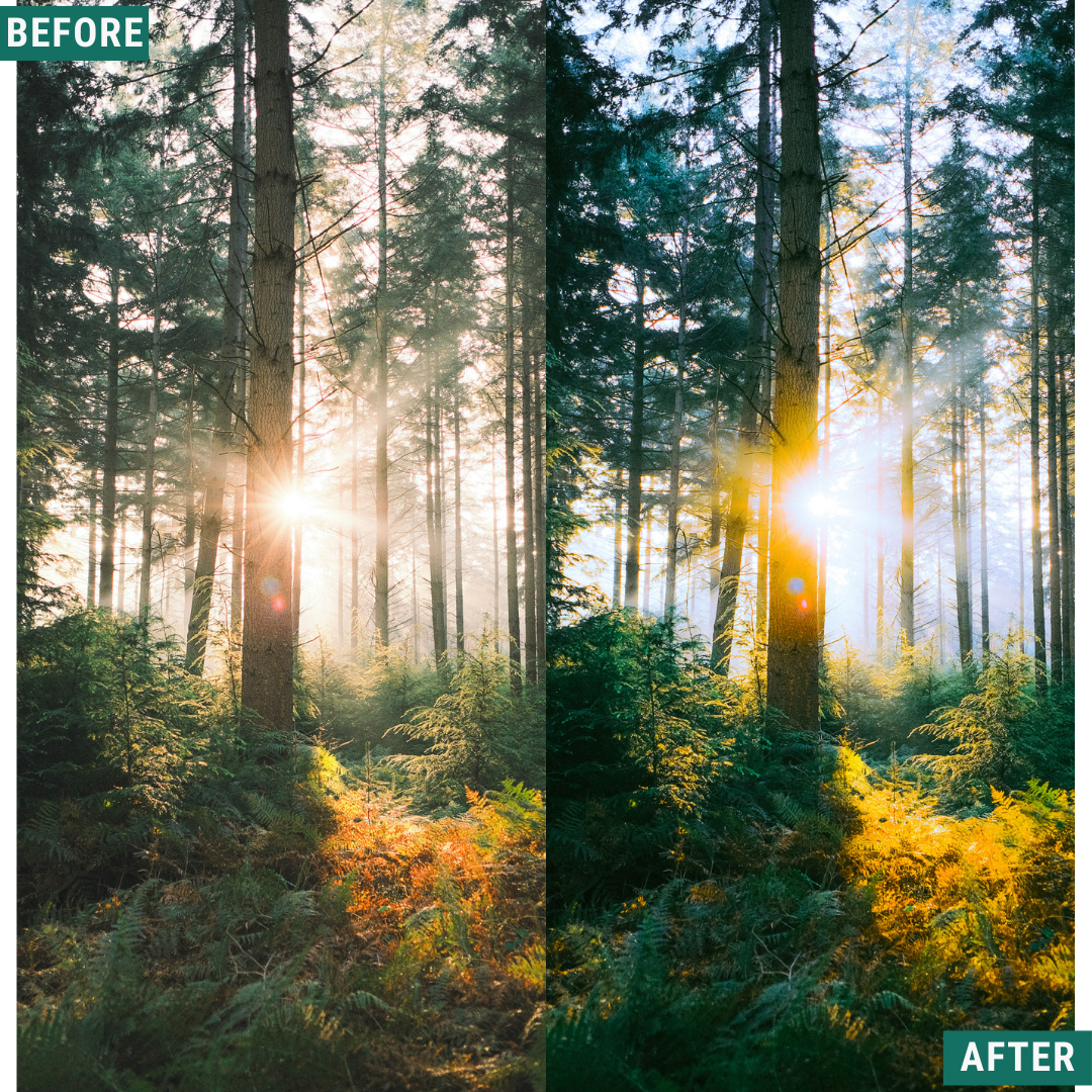Mossy Trail LIMITED Lightroom Presets Pack