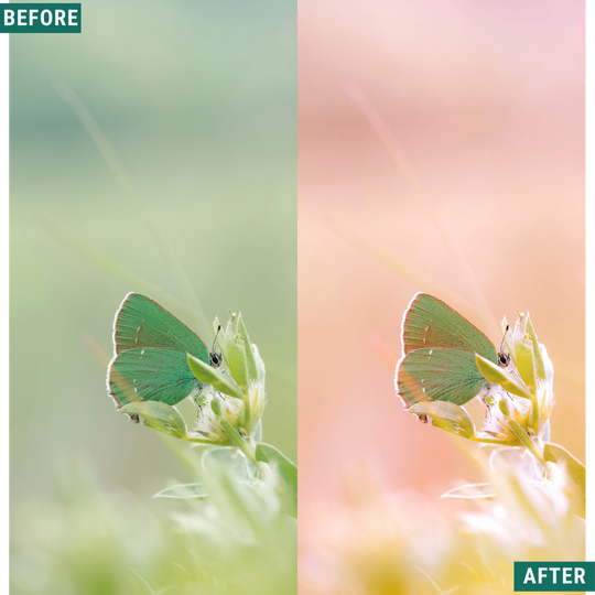 Macro Pink LIMITED Lightroom Presets Pack