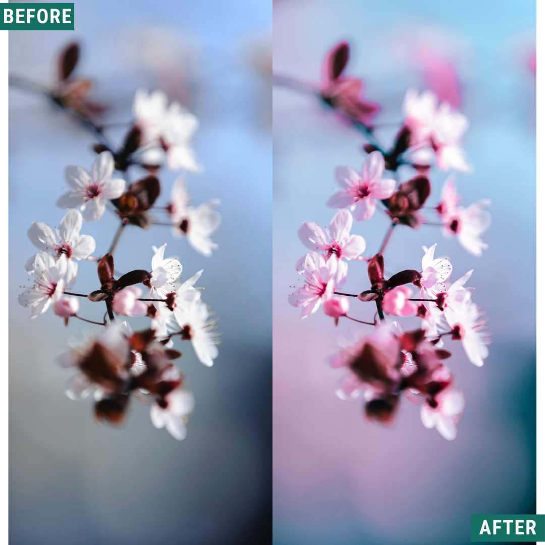 Cherry Blues LIMITED Lightroom Presets Pack