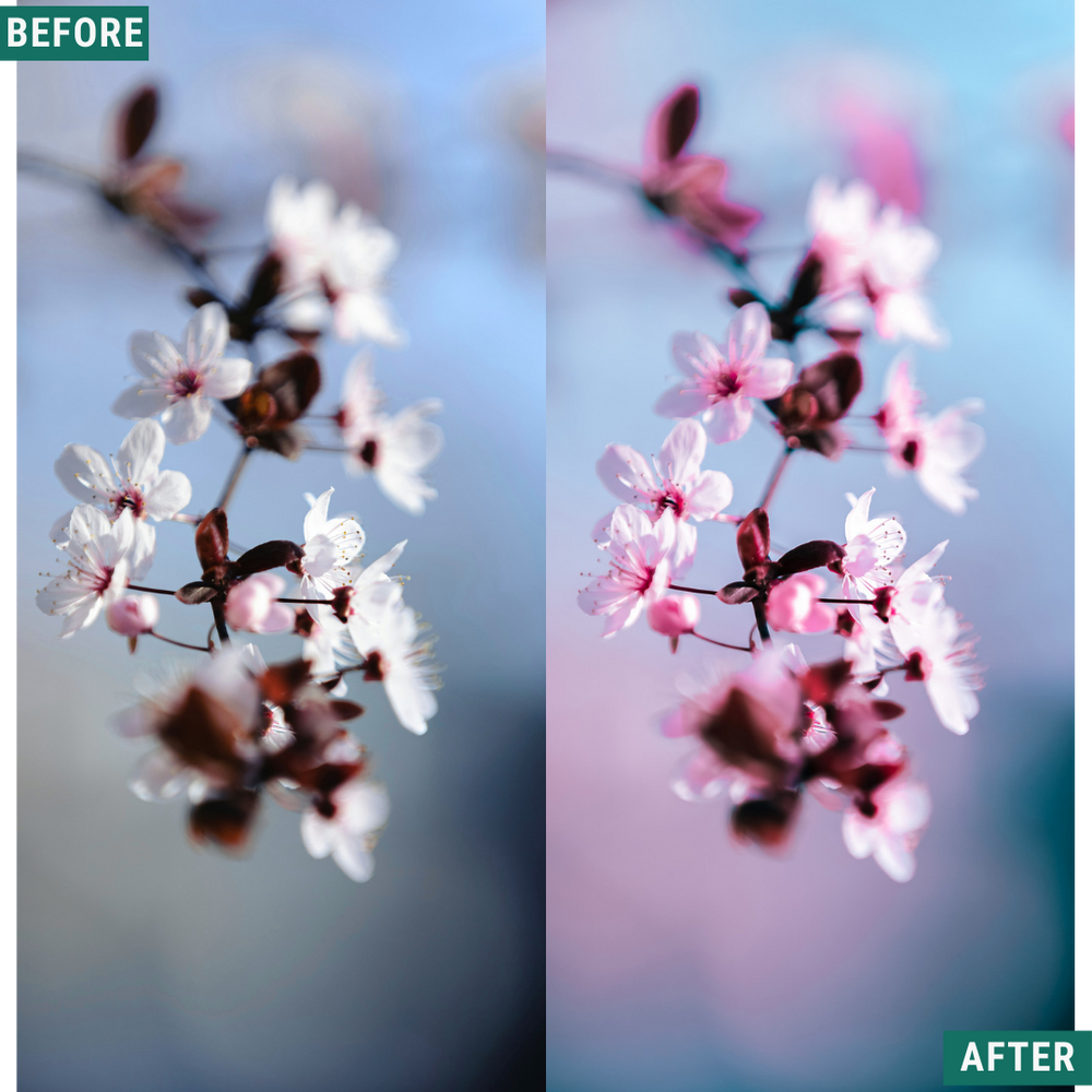 Cherry Blues LIMITED Lightroom Presets Pack