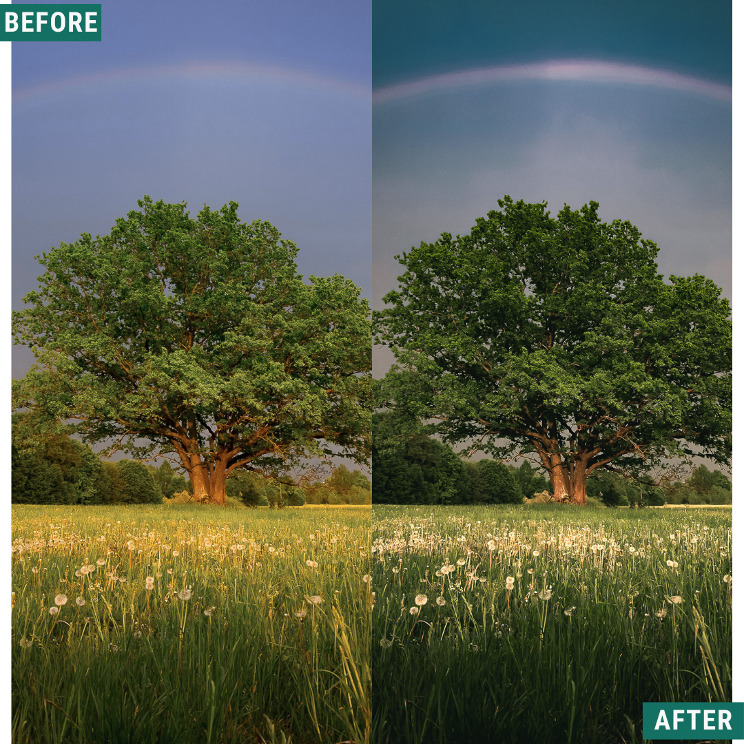 Vintage Valley LIMITED Lightroom Presets Pack