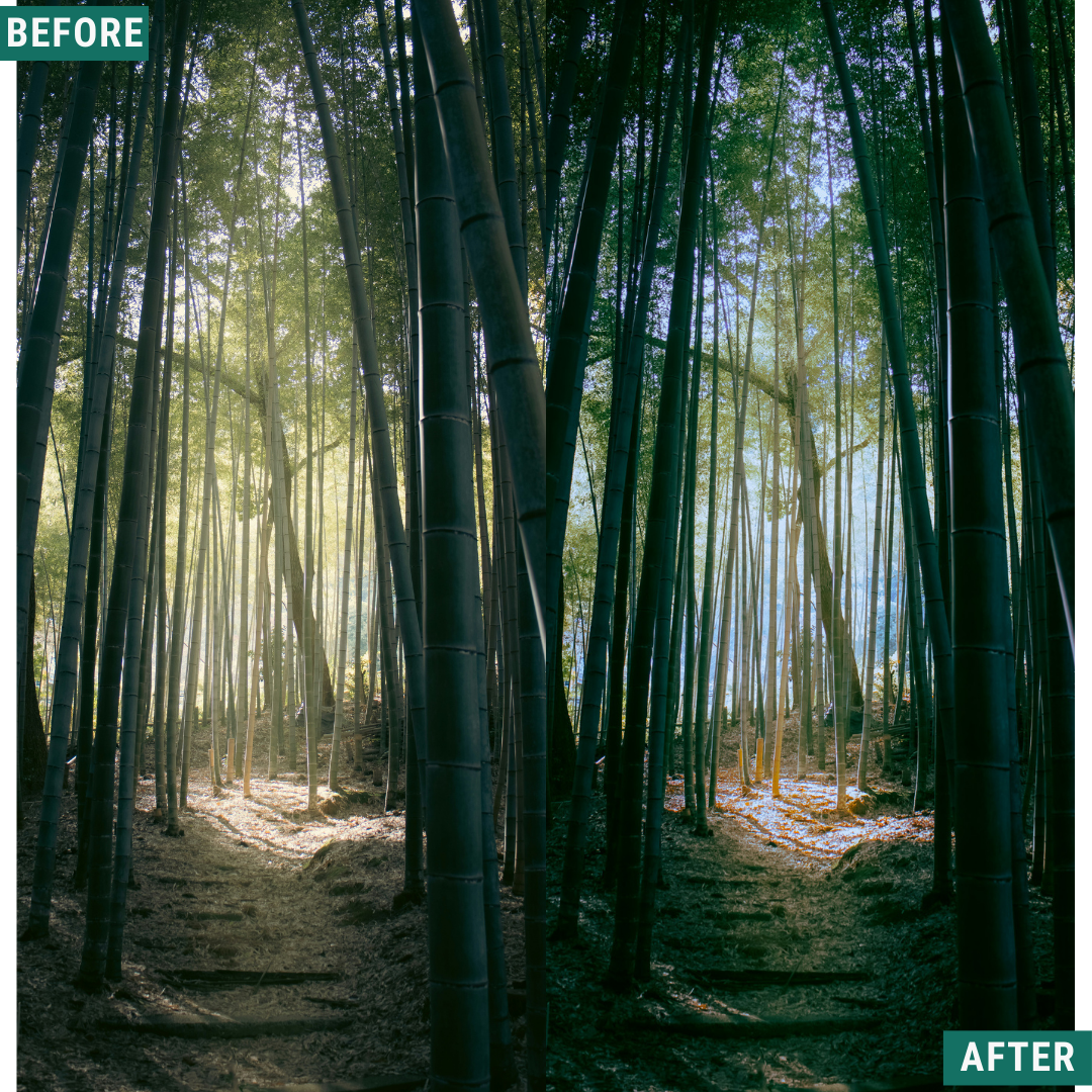 Mossy Trail LIMITED Lightroom Presets Pack
