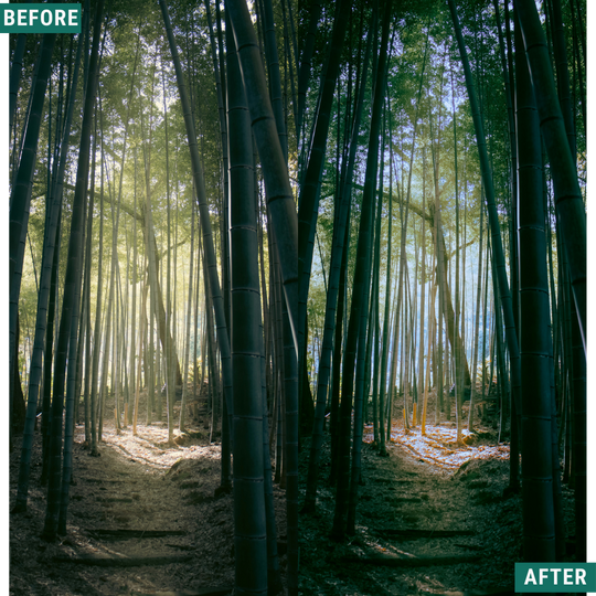 Mossy Trail LIMITED Lightroom Presets Pack