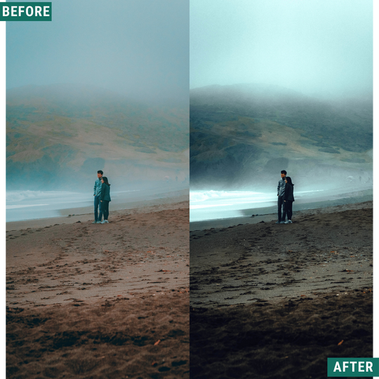 Wild Green Lightroom-Voreinstellungen-Paket