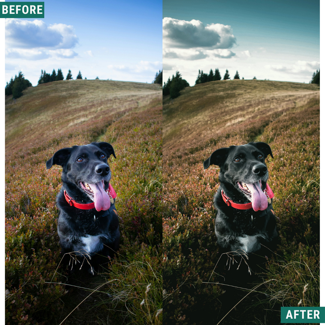 Vintage Valley LIMITED Lightroom Presets Pack