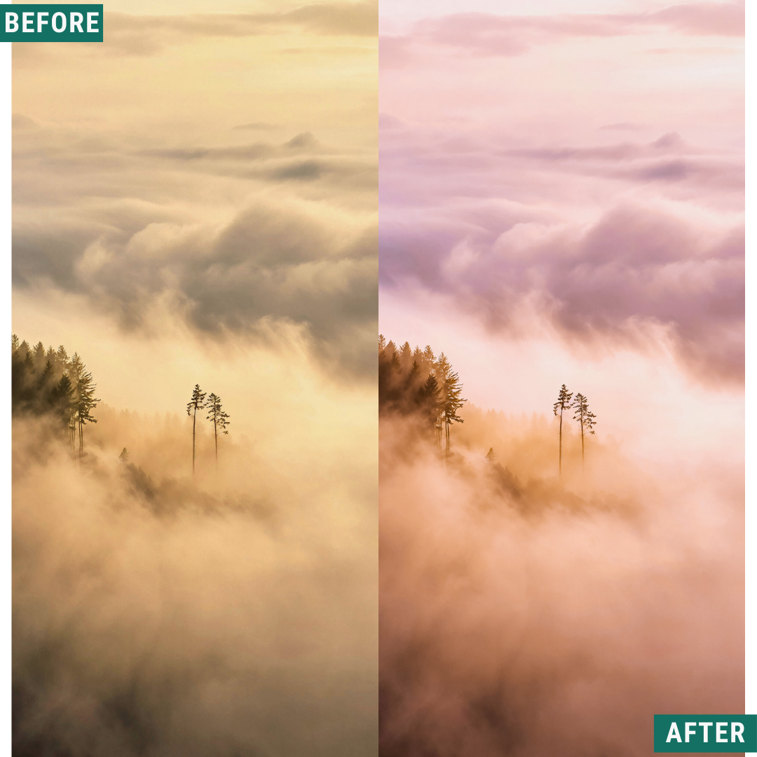 Macro Pink LIMITED Lightroom Presets Pack