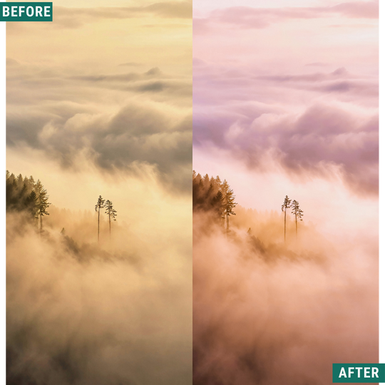 Macro Pink LIMITED Lightroom Presets Pack