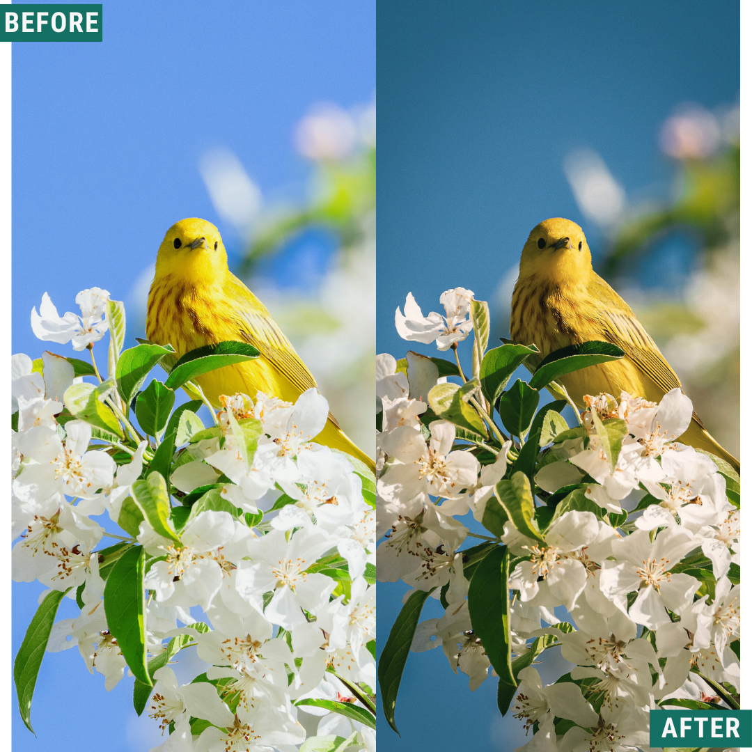 Vintage Valley LIMITED Lightroom Presets Pack