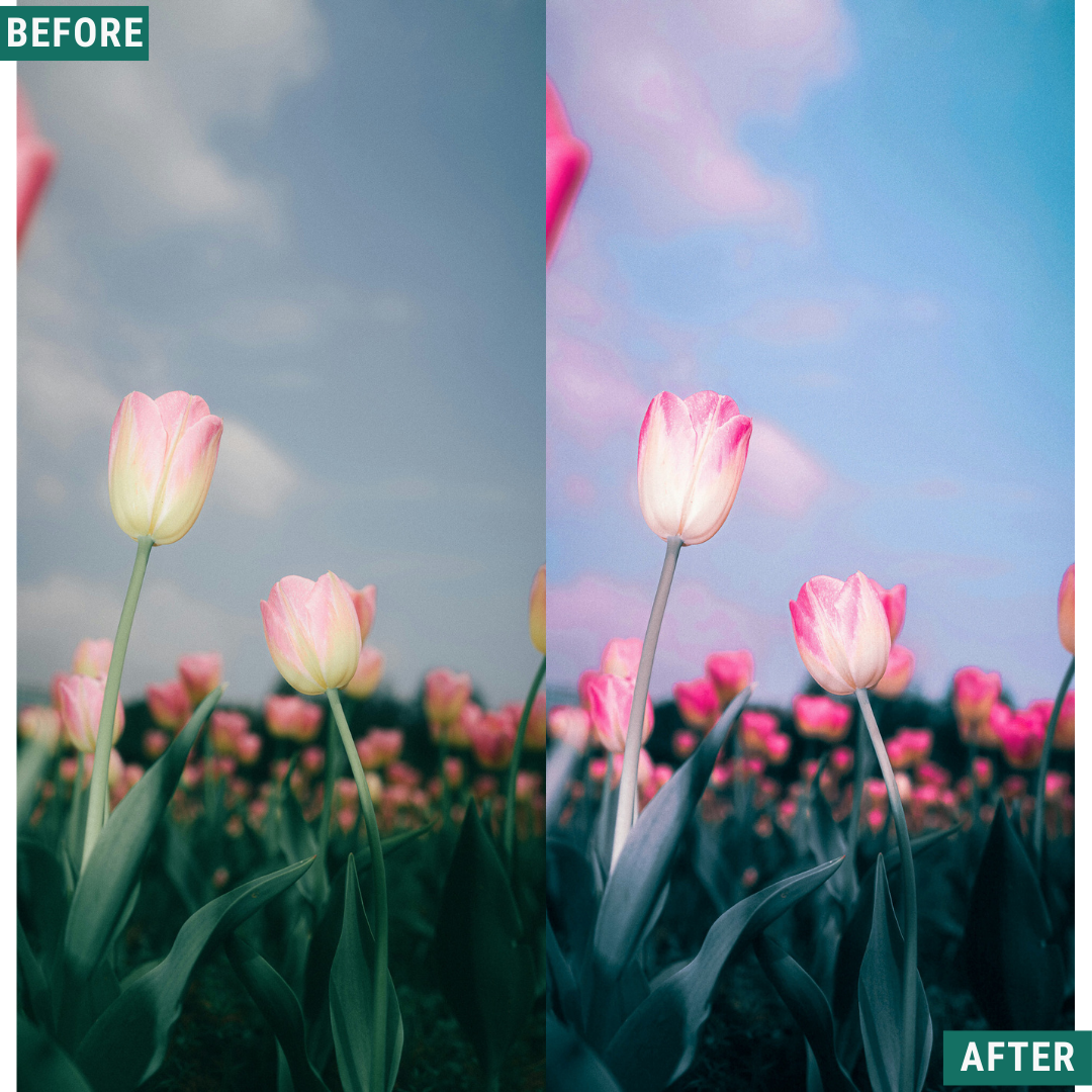 Cherry Blues LIMITED Lightroom Presets Pack