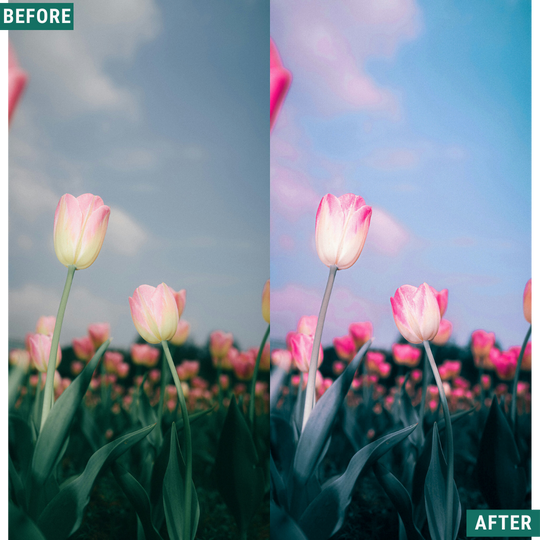 Cherry Blues LIMITED Lightroom Presets Pack