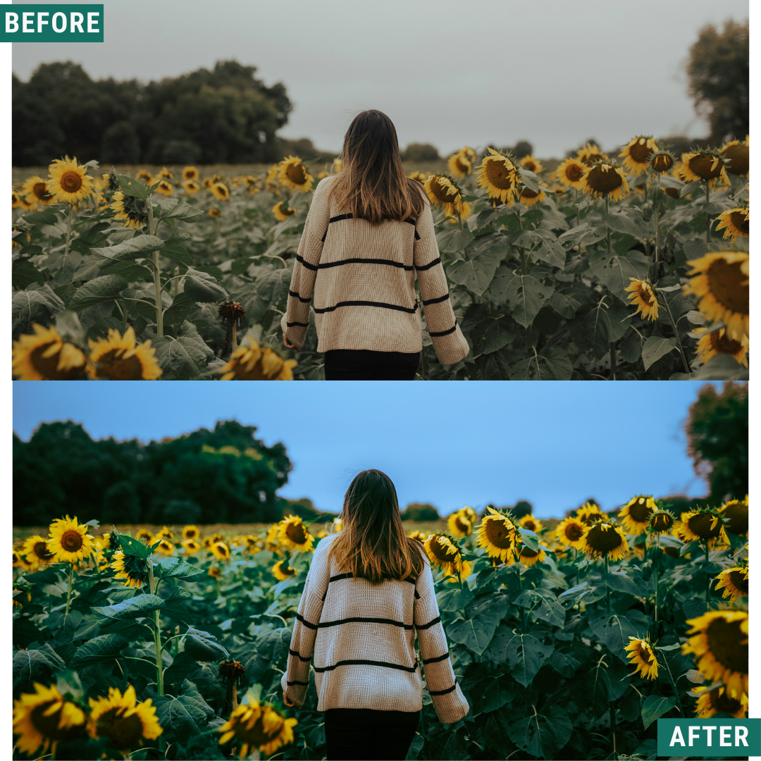 Mossy Trail LIMITED Lightroom Presets Pack