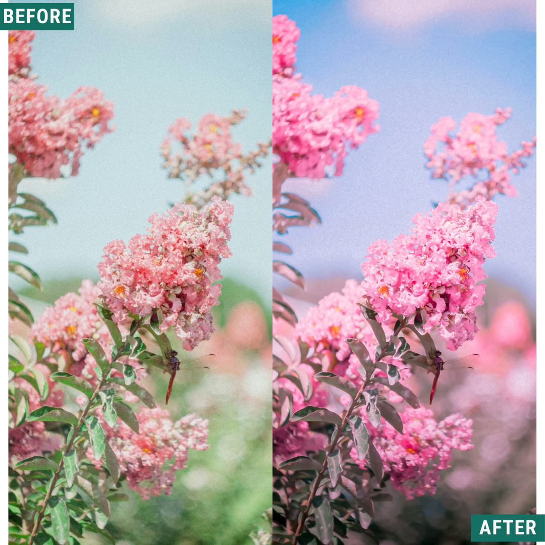 Cherry Blues LIMITED Lightroom Presets Pack