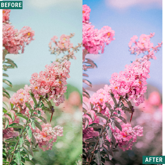 Cherry Blues LIMITED Lightroom Presets Pack
