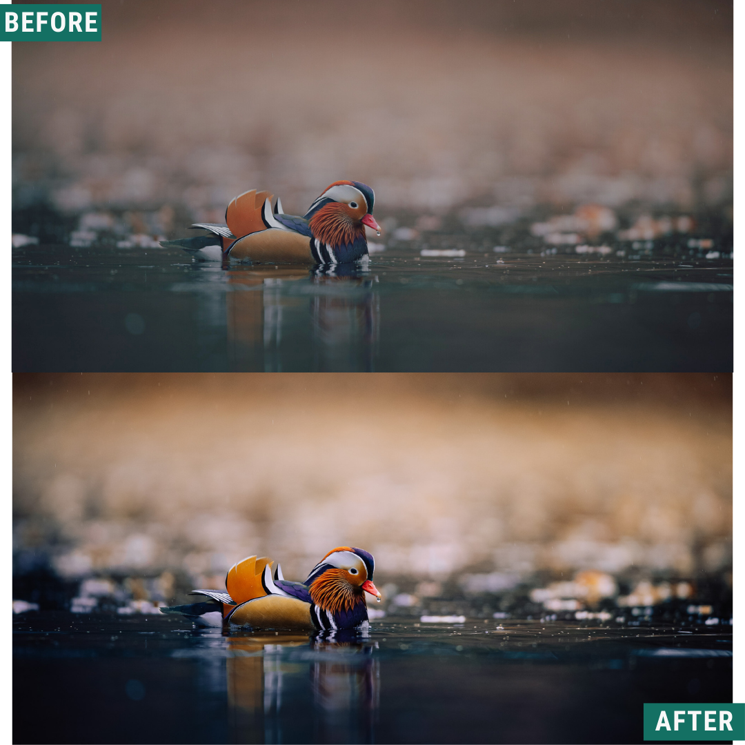 Deep Skies LIMITED Lightroom Presets Pack