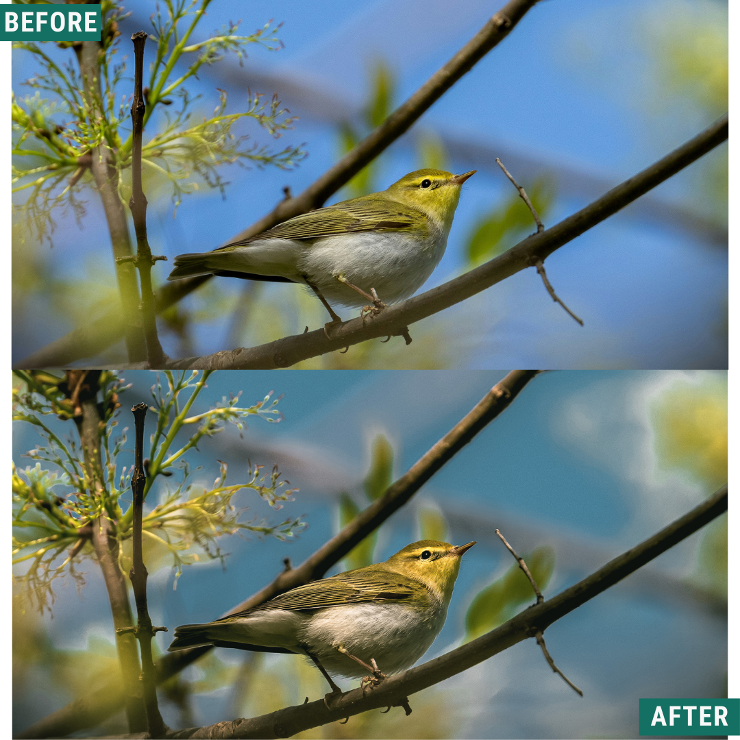 Vintage Valley LIMITED Lightroom Presets Pack